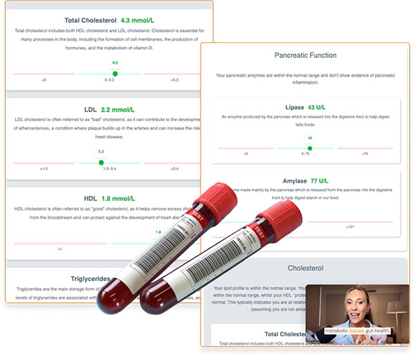 14-Day Vitality Plan preview